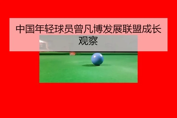 zhong-guo-nian-qing-qiu-yuan-ceng-fan-bo-fa-zhan-lian-meng-cheng-zhang-guan-cha-1-262.jpg
