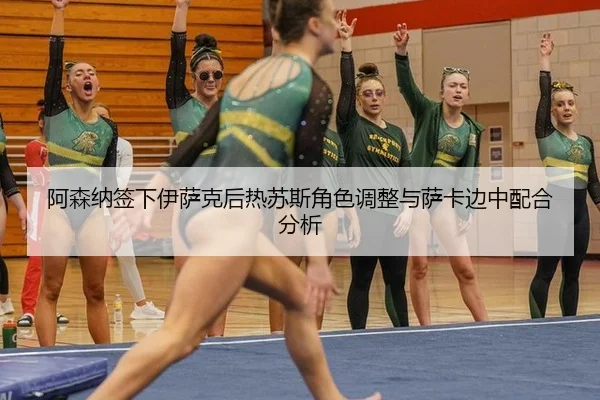a-sen-na-qian-xia-yi-sa-ke-hou-re-su-si-jue-se-tiao-zheng-yu-sa-ka-bian-zhong-pei-he-fen-xi-2-218.jpg